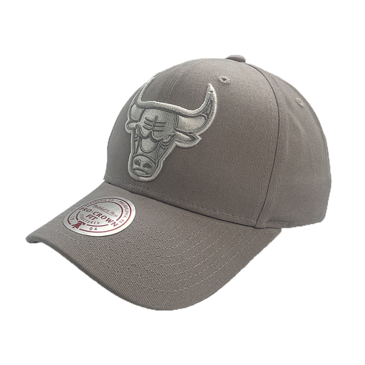 [198293655127] Mitchell & Ness Chicago Bulls Pro Crown Seasonal Spring Sterling OSFM