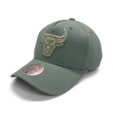 Mitchell & Ness Chicago Bulls Pro-Crown Seasonal Core Green OSFM