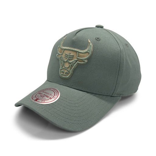 [198293014078] Mitchell & Ness Chicago Bulls Pro-Crown Seasonal Core Green OSFM