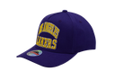 Mitchell & Ness Los Angeles Lakers NBA Zone Purple OSFM MNLL21012H