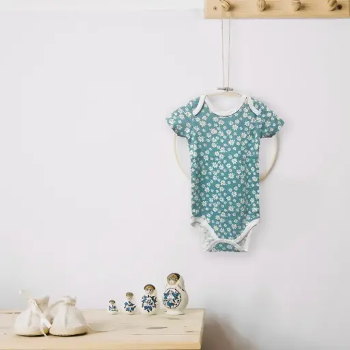 Baby Romper (Daisys)