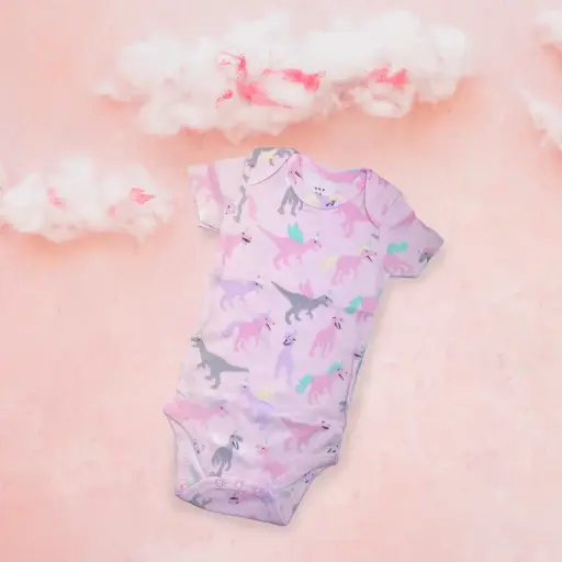 Baby Romper (Pink Dinosaur)