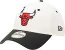 New Era Chicago Bulls 39Thirty 2-Tone Chrome White OTC